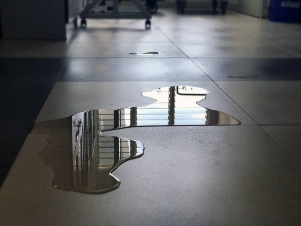 Best Emergency water damage restoration  in Springboro, OH