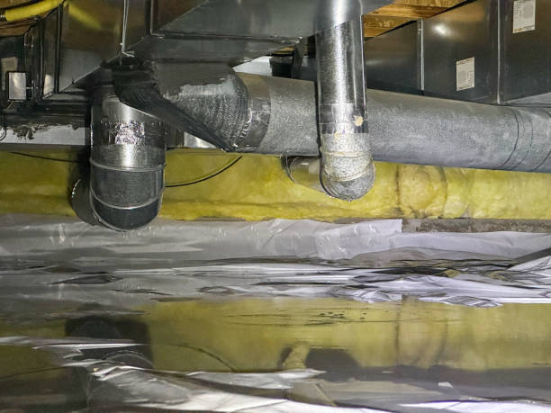 Best Flood restoration services  in Springboro, OH