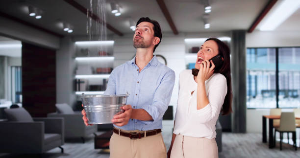 Best Water damage restoration mold remediation  in Springboro, OH