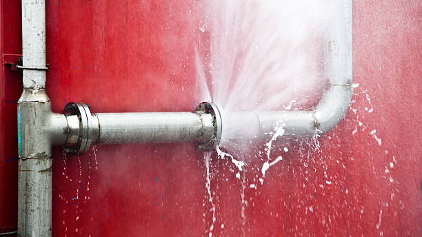 Best Ceiling water damage repair  in Springboro, OH